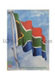 South Africa British Lions 1997 memorabilia